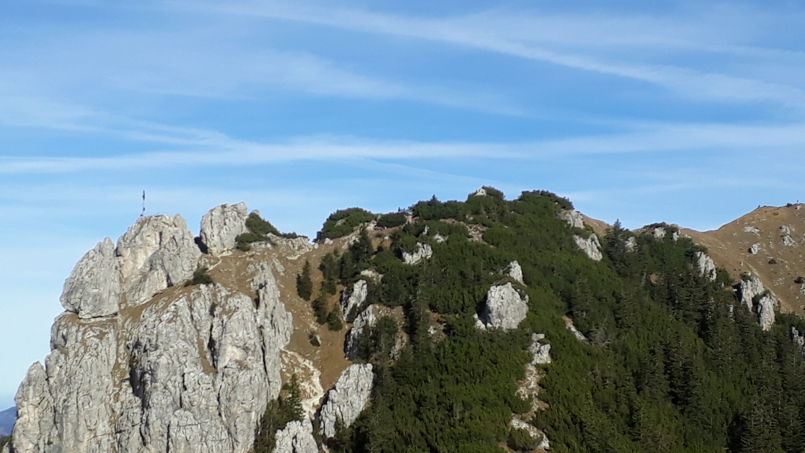 Blick auf den Signalkopf