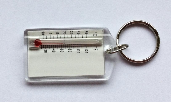 BasicNature Thermometer